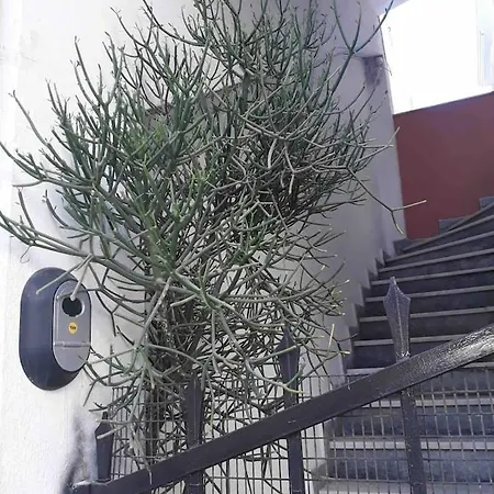 Cozy In Location Of * הרקליון